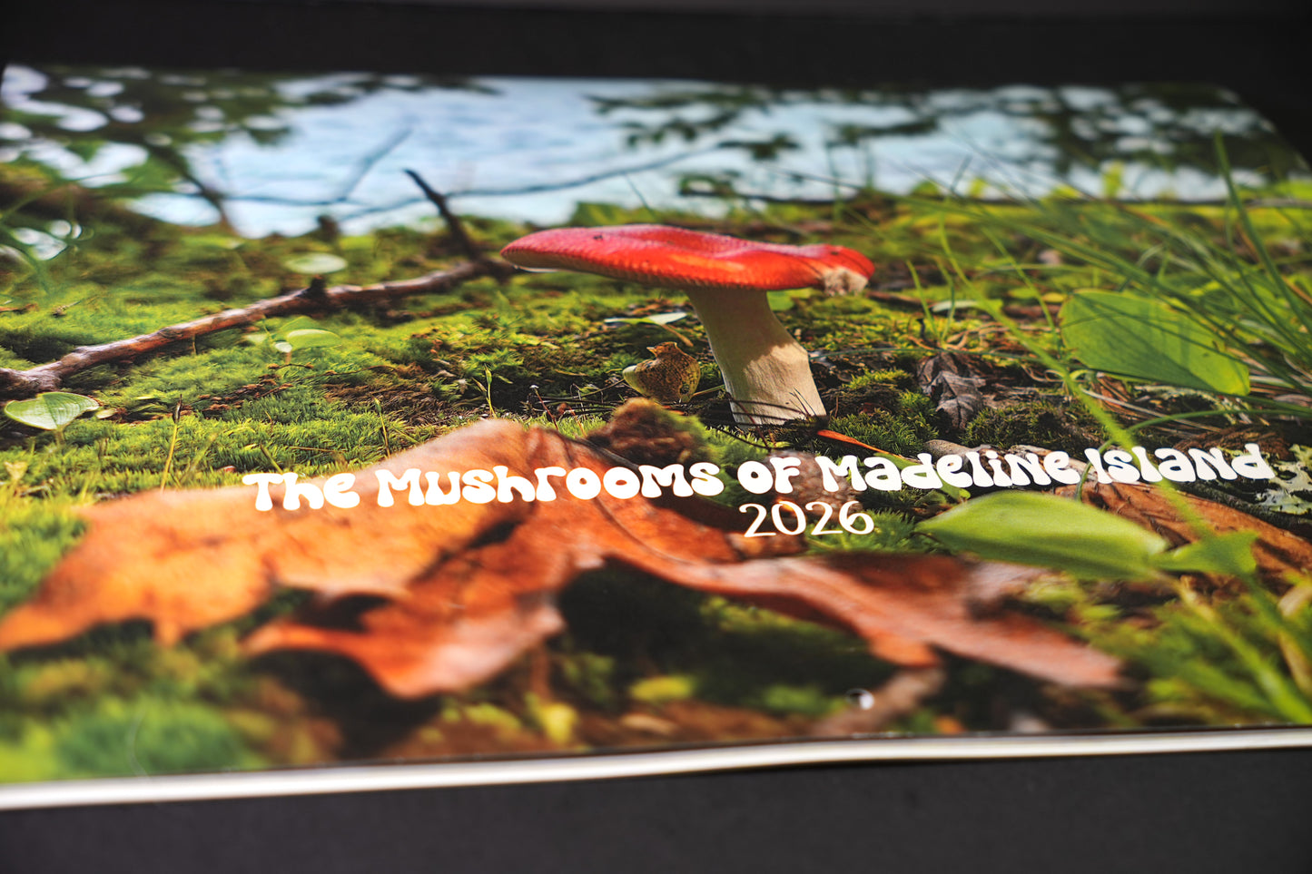 Mushrooms of Madeline Island 2026 Calendar