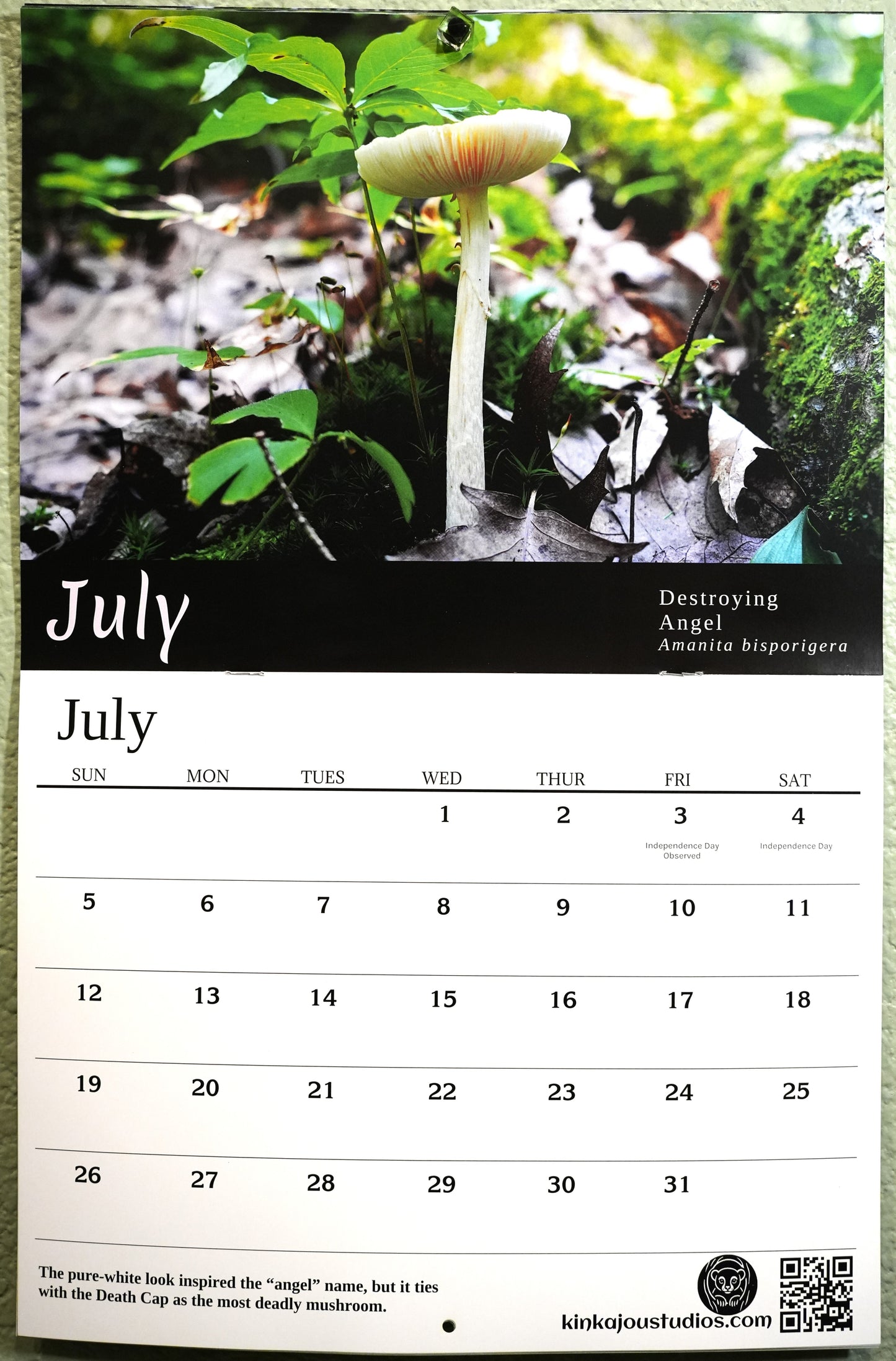 Mushrooms of Madeline Island 2026 Calendar