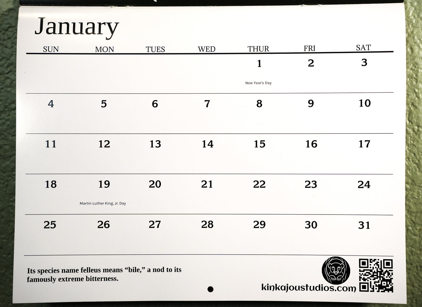 Mushrooms of Madeline Island 2026 Calendar